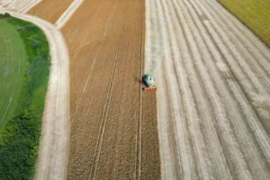 FPT and CP Partner to Transform Agri-Food Value Chains with AI