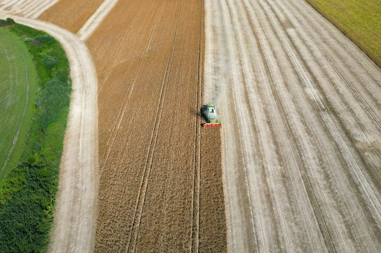 FPT and CP Partner to Transform Agri-Food Value Chains with AI