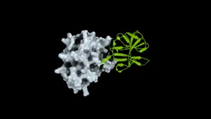 How Open Science Can Help Researchers Prepare for Future Pandemics